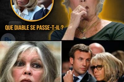 CHOC: À 91 ans, Brigitte Bardot se déchaîne et révèle un secret sur la France : la laideur règne en France