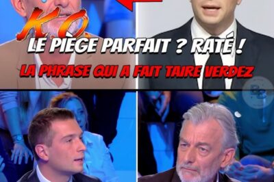 HUMILIATION EN DIRECT ! Vous avez raté le clash monumental sur TPMP ? Gilles Verdez pensait tenir sa proie, Jordan Bardella, en lui parlant de son passé de professeur pour immigrés. ERREUR FATALE ! Bardella a souri et a raconté l’histoire avec fierté, avant de porter un coup magistral sur l’exploitation des étrangers et “le drame de l’immigration”. Verdez est resté bouche bée, un véritable “KO technique”. La rhétorique était IMPLACABLE.