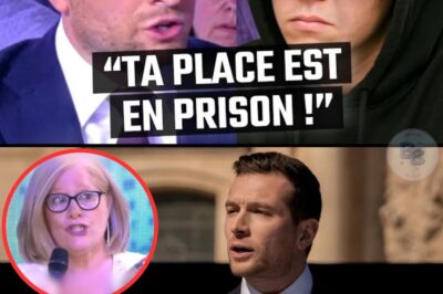 France en Panne : Le Cri de Colère d’une Mère Face à l’Impunité des Agressions au Couteau et le Plan Choc de Jordan Bardella Contre l’« Excuse de Minorité »