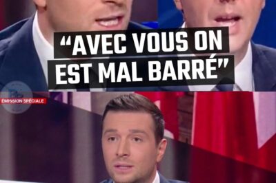 Immigration : Le Coup de Maître de Jordan Bardella Qui Réduit au Silence BFM TV et Fait Trembler les Dinosaurs de la République