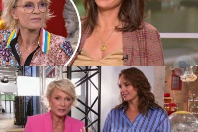 “Ça a été un vrai travail personnel”, Sophie Davant dans “l’aigreur” après avoir été remplacée par Julia Vignali ?