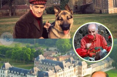 L’incroyable Château de Clermont et l’histoire d’un grand homme Louis de Funès..