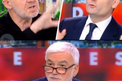 « Vous ne défendez pas la paix, vous défendez la Russie » : Le Face-à-Face Naulleau-Philippot Révèle le Chemin de Guerre et la Crise Identitaire de la France