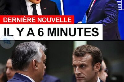 Le Claquement de Porte d’Orban : Le Sommet de la Honte pour Macron et le Signal d’Alarme de la Souveraineté Française