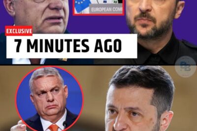 LE CHANTAGE EUROPÉEN : BRUXELLES VEUT « ANNULER » ORBÁN ET DÉMANTELER LE DROIT DE VETO NATIONAL, MENAÇANT LES FONDATIONS MÊMES DE L’UNION