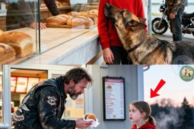 « Auriez-vous des croquettes périmées pour mon chien ?» — Le cycliste a tout entendu et ses réactions ont provoqué les larmes de tous…