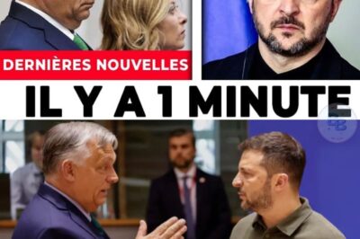Orbán et Meloni BLOQUENT Zelensky — « Plus un euro ! »