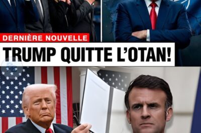 SÉISME OTAN & CHASSE AUX SORCIÈRES EN FRANCE : COMMENT TRUMP HUMILIE MACRON ET LÉGITIME L’OPPOSITION