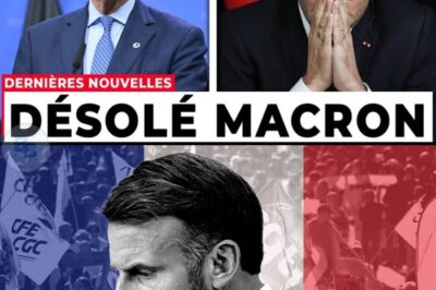 CRISES ET FRONTIÈRES FERMÉES : L’Allemagne Accuse Directement la France de “Laxisme” et Déclenche un Séisme Européen