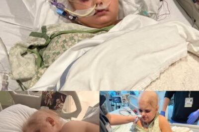 La fille qui a refusé d’abandonner — Le combat d’Elsie contre toute attente.