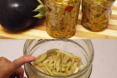 MELANZANE SOTT’OLIO ricetta tradizionale – Eggplants in oil traditional recipe