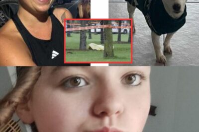 Mort de Justine, 24 ans, dans le Maine-et-Loire : partie promener son chien, elle n’est jamais revenue, son corps retrouvé