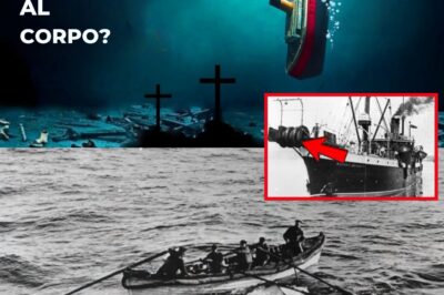 La Verità Agghiacciante sui 1.500 Corpi Scomparsi: Cosa Accadde alle Vittime del Titanic Dopo l’Affondamento?