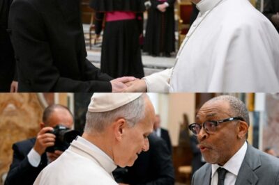 “Ce monde a besoin de beauté pour ne pas sombrer dans le désespoir” : le pape Léon XIV reçoit des grands noms du cinéma, “laboratoire d’espérance”