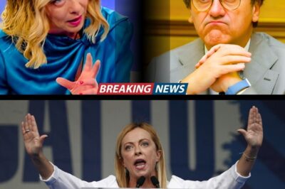 Meloni ASFALTA Bonelli Con Una LEZIONE di Economia: “NON SAI NEMMENO COS’È LA PRESSIONE FISCALE!”