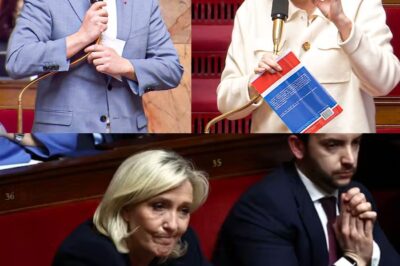 Boyard Scatena la Rissa Verbale e Le Pen Risponde al Vetriolo nel Giorno della Vergogna Parlamentare