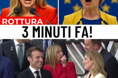 LE PROCÈS DU SIÈCLE À BRUXELLES : URSULA VON DER LEYEN ACCUSÉE DE “TYRANNIE” ET DU SCANDALE PFIZER. “PERSONNE NE L’A ÉLUE !”