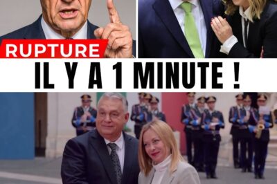 Orban et Meloni surprennent Bruxelles avec une initiative audacieuse : que cache cette décision ?
