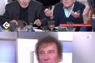 Alain Souchon, après la polémique et sa sortie sur le RN, le chanteur en rajoute une couche dans “C à Vous”