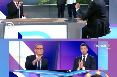 Jordan Bardella sur France 3 : « Le président de la République a menti et trahi sur le Mercosur »