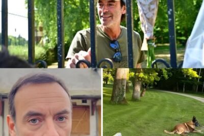 “Je l’aide à se déplacer” : cet être cher pour qui Anthony Delon a déménagé à Douchy, dans la propriété de son père Alain Delon