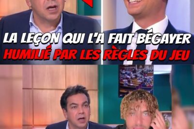 KO Magistral : Quand Jordan Bardella fait bégayer Patrick Cohen avec une leçon de droit parlementaire