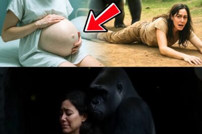 GORILA AGE DE FORMA ESTRANHA COM MULHER, MESES DEPOIS ALGO INACREDITÁVEL ACONTECE COM ELA!
