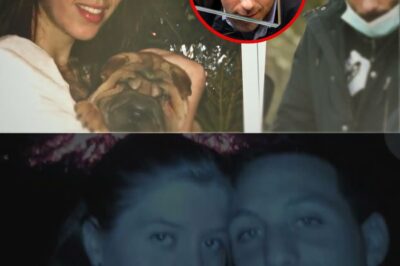 Que s’est il VRAIMENT passé dans l’affaire DELPHINE JUBILLAR ? – Enquêtes criminelles – BL