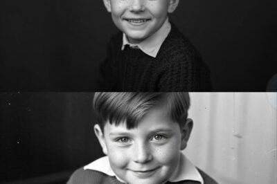 Avant de mourir, la voisine avoue après 38 ans — le secret du garçon perdu à Bordeaux