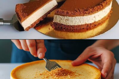 Cheesecake Speculoos Express : La Recette “5 Minutes de Préparation” Sans Cuisson Qui Fait le Buzz sur les Réseaux