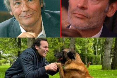 Anthony Delon critiqué juste à cause… d’un chien