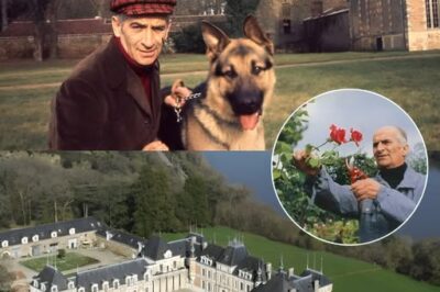 Louis de Funès n’était pas seulement une légende du cinéma français, mais aussi le propriétaire d’une somptueuse demeure devenue symbole de son héritage: le château de Clermont, estimé à près de 298 millions d’euros, niché au cœur de la pittoresque Loire-Atlantique.