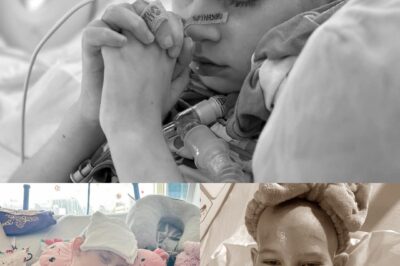 La lumière de Noëlle — La petite fille qui a enseigné le courage au monde.