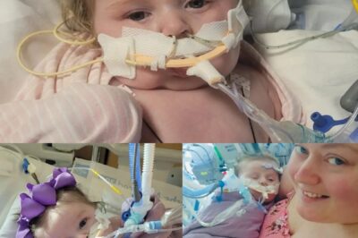 « Le petit cœur qui a refusé d’abandonner — L’histoire d’Eden Grace Riddle ».