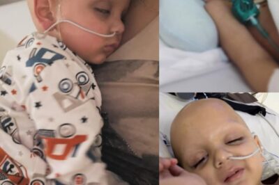 « Onze jours sans câlin — et puis, tout a changé ».