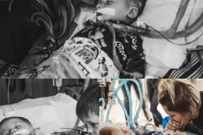 « Le retour au paradis : le magnifique voyage de Brody ».