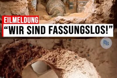 Hanno APERTO una grotta SIGILLATA… e hanno trovato qualcosa che REINVENTA LA STORIA!