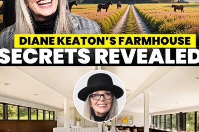 Le cottage rustique californien de Diane Keaton – Une vie d’art, de style et de solitude.