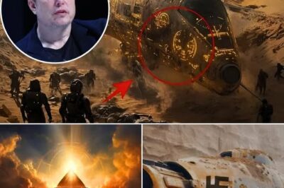 ONDA D’URTO GLOBALE: Una nave stellare di 5.000 anni scoperta sotto le Piramidi d’Egitto — Recuperati resti non umani. Elon Musk rompe il silenzio: “Questo riscrive tutto sulla nostra origine… Forse non siamo discendenti della Terra. Forse siamo ESATTAMENTE ciò che loro hanno lasciato.”