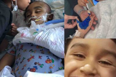 Les huit heures qui ont coûté la vie à Levy — et le monstre laissé aux commandes.