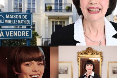 L’Énigme MIREILLE MATHIEU : SILENCE TOTAL ET 100 MILLIONS DE DOLLARS SANS HÉRITIER DÉSIGNÉ.