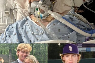 Le garçon qui ne veut pas se réveiller — et les parents qui refusent d’abandonner.