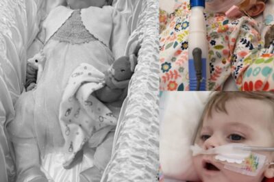 « Le corbillard, la couverture rose et les adieux qu’aucune mère ne devrait avoir à vivre ».