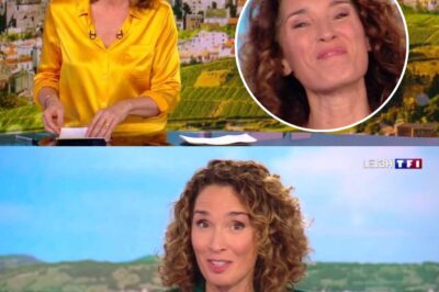 JT de TF1 : Marie-Sophie Lacarrau agace pour une raison inattendue, mais son explication force l’admiration