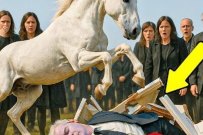 Cheval s’arrête aux FUNÉRAILLES, BRISE le CERCUEIL de son maître, et un BILLET ÉTRANGE est trouvé.