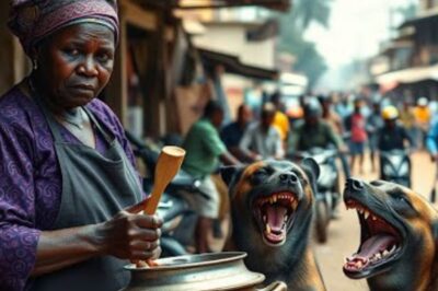 😲 Personne ne savait pourquoi les chiens aboyaient sur la revendeuse populaire