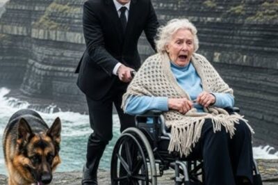 Un fils riche a poussé sa mère paralysée du haut d’une falaise. Mais il a oublié le chien.