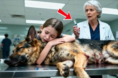 Ils étaient sur le point d’euthanasier le chien… jusqu’à ce que la petite fille voie quelque chose qui le sauva.