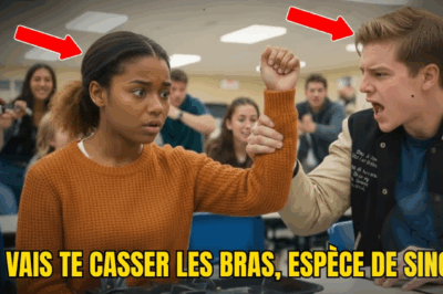 Le harceleur de l’école a attaqué la fille noire — ce qui s’est passé ensuite a choqué tout le monde.