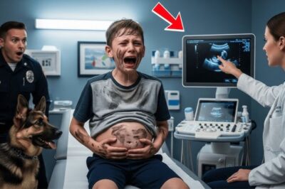 Un garçon appelle le 911 : « J’ai des coups dans le ventre », des chiens policiers et des cavaliers arrivent et font une découverte choquante.